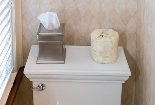 A silver tissue box and a wrapped roll of toilet paper sit atop a white toilet in a bathroom.