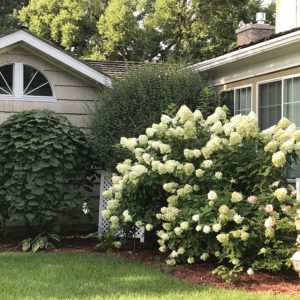 Photo of 1810 Emerson House - Wisconsin Bed and Breakfast
