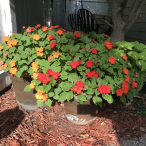 Photo of 1810 Emerson House - Wisconsin Bed and Breakfast