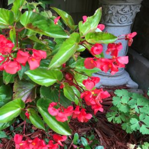 Photo of 1810 Emerson House - Wisconsin Bed and Breakfast