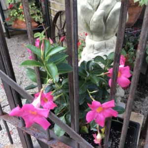 Photo of 1810 Emerson House - Wisconsin Bed and Breakfast