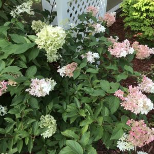 Photo of 1810 Emerson House - Wisconsin Bed and Breakfast