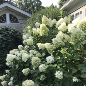 Photo of 1810 Emerson House - Wisconsin Bed and Breakfast